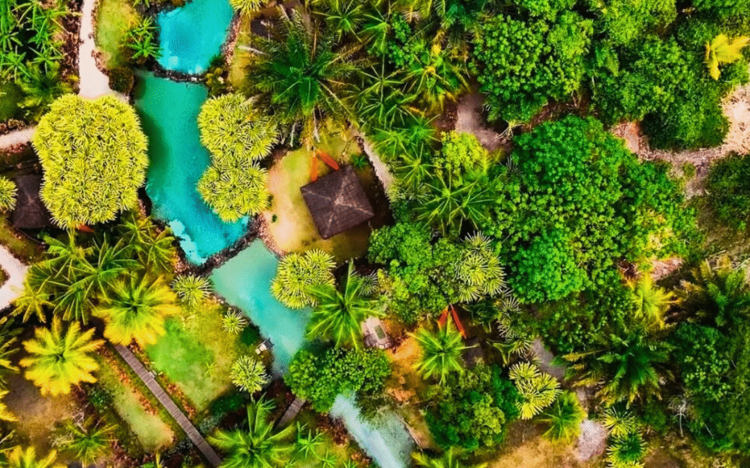 Tao Paradise