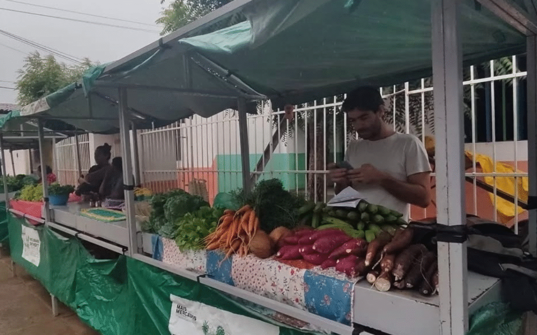 Feira Agroecológica