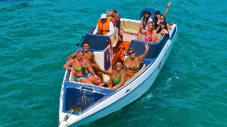 Maracajaú Diver